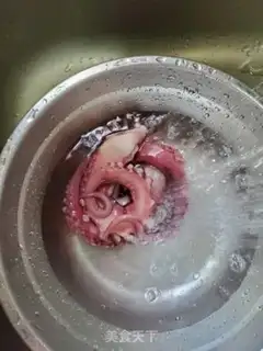 Make Zoctopus feet step 0
