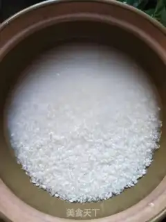 Make Dove