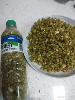 Make Homemade soybeans step 6