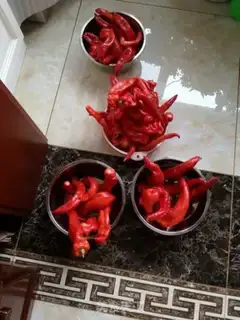 Make Homemade chili sauce step 1