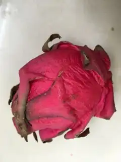 Make Riceball step 5