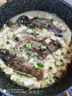 Make Black fish tofu soup step 6