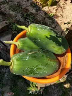 Make papaya silk sauce step 0