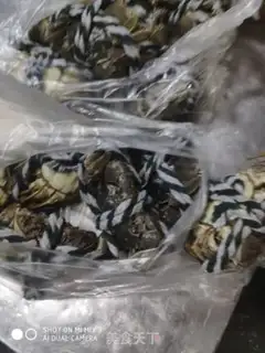 Make Salt crabs step 0