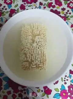 Make Vince Tofu step 3