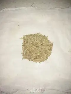 Make Chickens step 6
