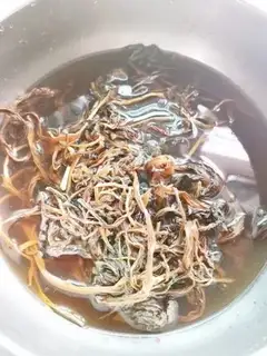 Make Spam step 9