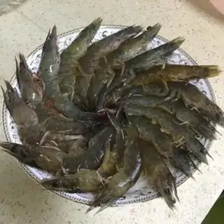 Make Tasty garlic fan shrimp step 4