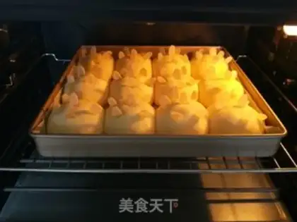 Make Apricot step 8