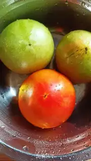 Make Fried tomatoes step 0