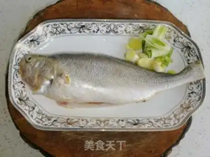 Make Squidfish step 0