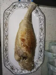 Make Squidfish step 3