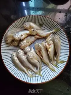 Make Lionfish step 0