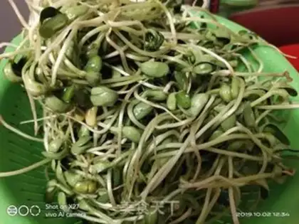 Make Garlic pea seed step 1