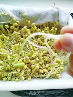 Make Homemade soybean sprouts step 8
