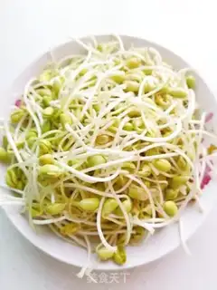 Make Homemade soybean sprouts step 9
