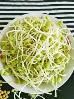 Make Homemade soybean sprouts step 10