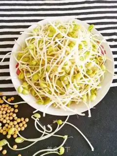 Make Homemade soybean sprouts step 11