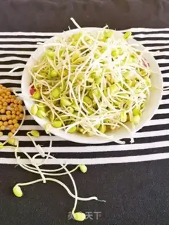 Make Homemade soybean sprouts step 12
