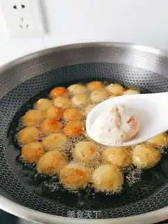 Make Tofuballs step 7
