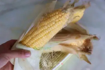 Make Sweet corn step 0