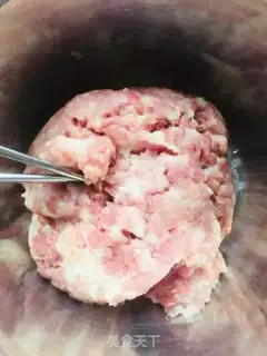 Make Pork dumplings step 0