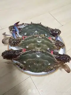 Make Ginger onions for sea crabs step 0