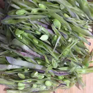 Make lentils, shrimp sauce step 1