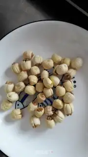 Make Silver Ears Spill step 1