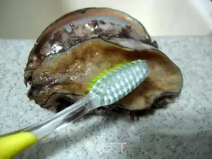 Make Abalone olive stew step 0