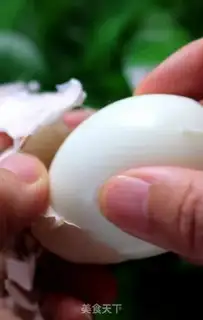 Make Fish cake and salad eggs step 4
