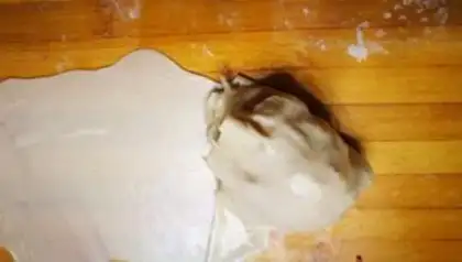 Make Carrot step 15