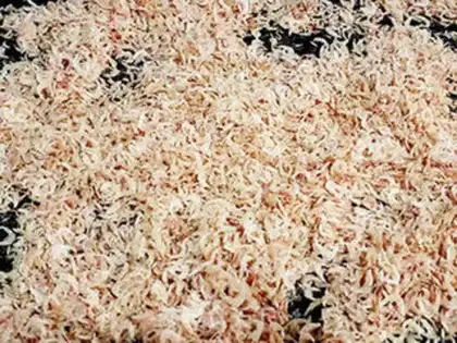 Make Shrimp powder step 4