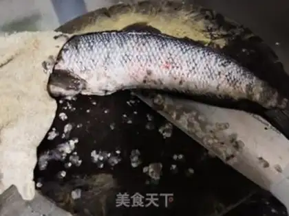 Make Blackfish soup step 0