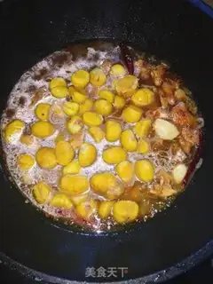 Make Chicken step 9