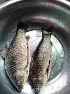 Make Spicy mackerel step 0