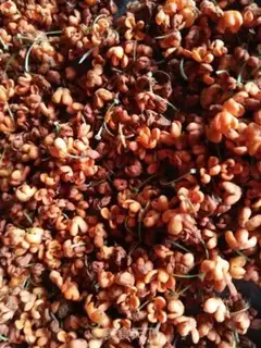 Make Cinnamon step 1