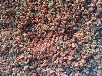Make Cinnamon step 7