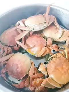Make Fresh crabs step 2