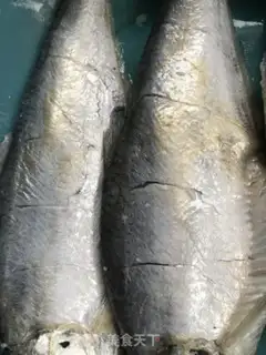 Make Fish step 1