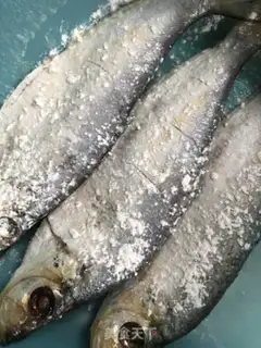 Make Fish step 2