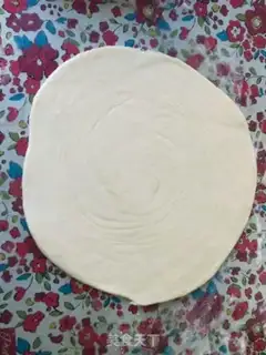 Make Homemade onions step 11