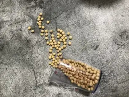 Make Pure soy milk step 0