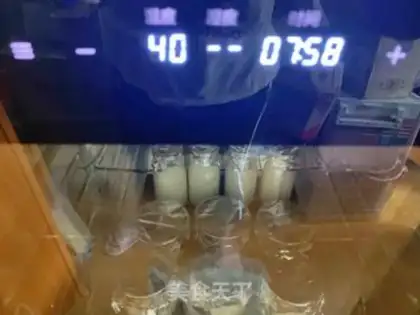 Make Homemade yogurt step 8