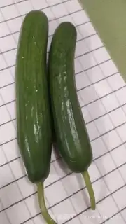 Make cucumbers step 0