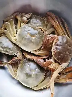 Make Crabs from the wind pond step 0