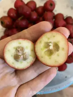 Make Homemade fruit-pins step 2