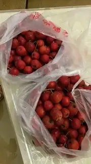 Make Mountain cans step 0
