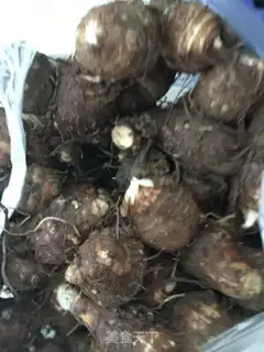 Make The octopus belly burns the taro step 0