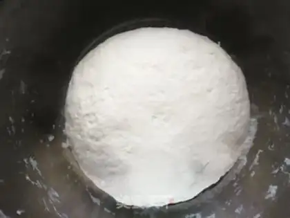 Make An egg pack with a rhinoconi step 3